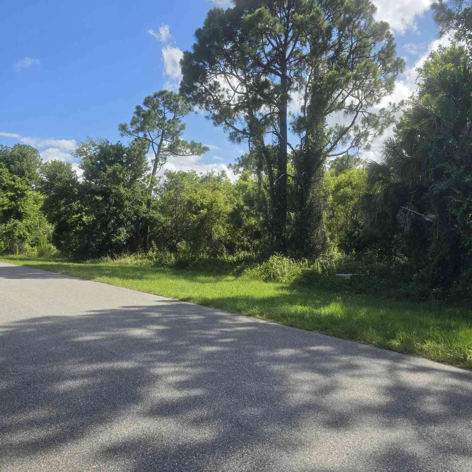 Vacant Land For Sale - 3912 Rambling Acres Drive<br/> Titusville, FL 32796