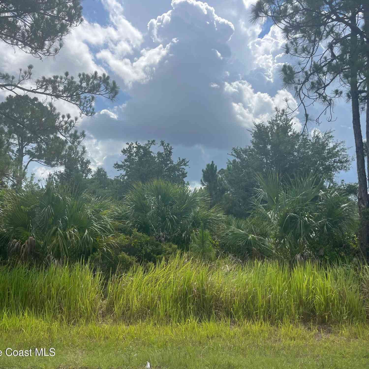 Vacant Land For Sale - 541 Windswept Avenue<br/> Palm Bay, FL 32908