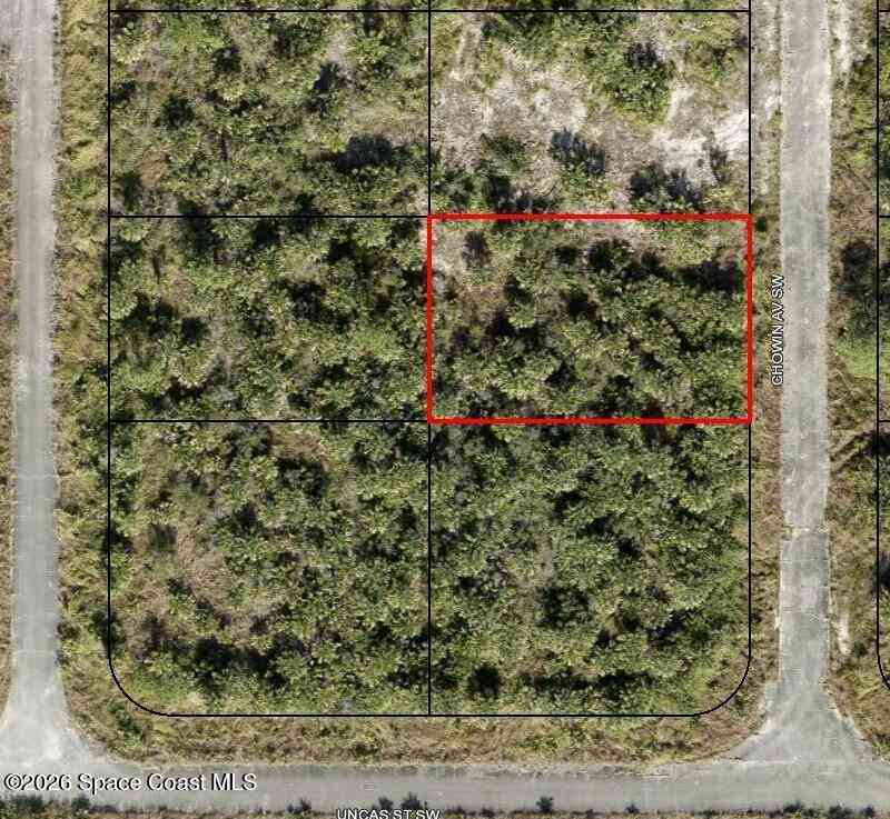 Vacant Land For Sale - 3390 Chowin Avenue<br/> Palm Bay, FL 32908