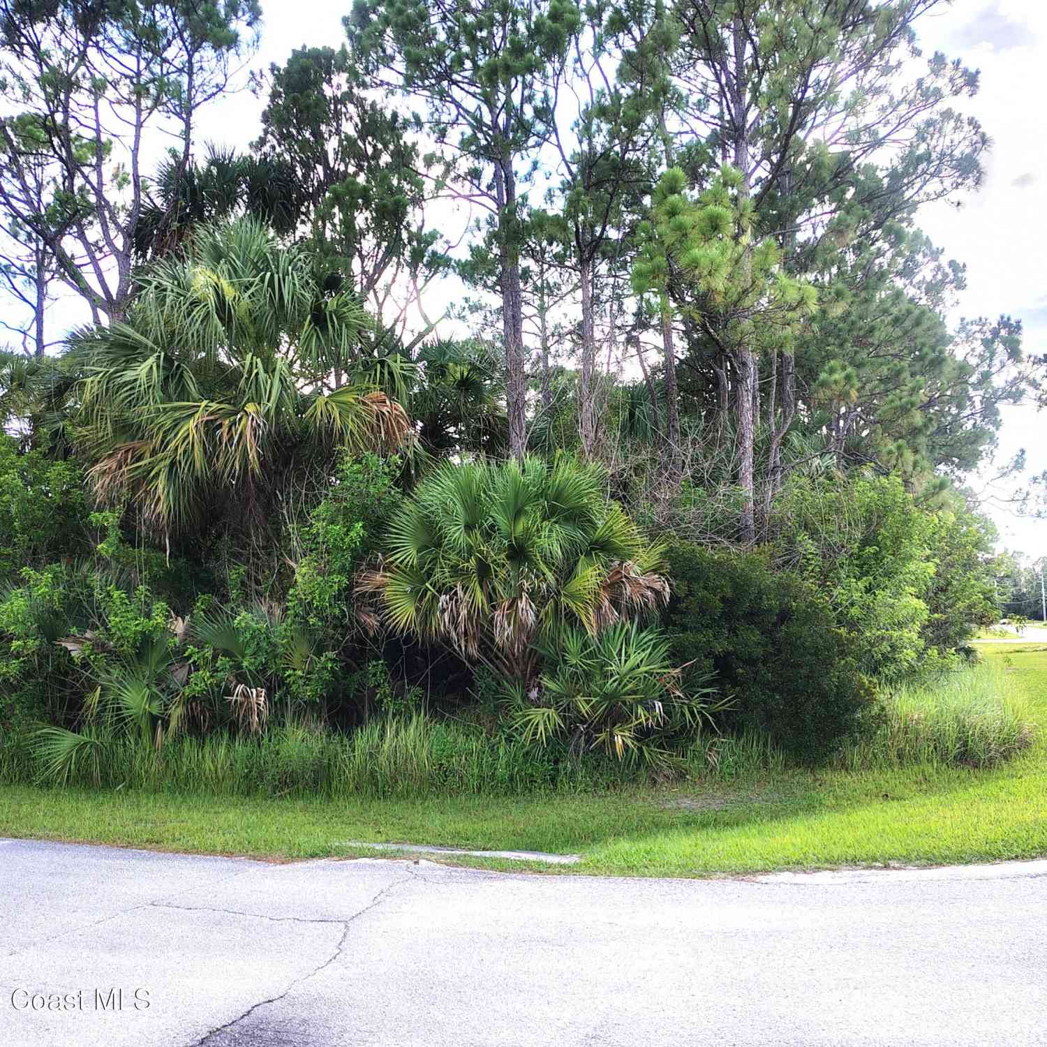 Vacant Land For Sale - TBD Corner Of Rebus Ave. & Harper Boulevard<br/> Palm Bay, FL 32908