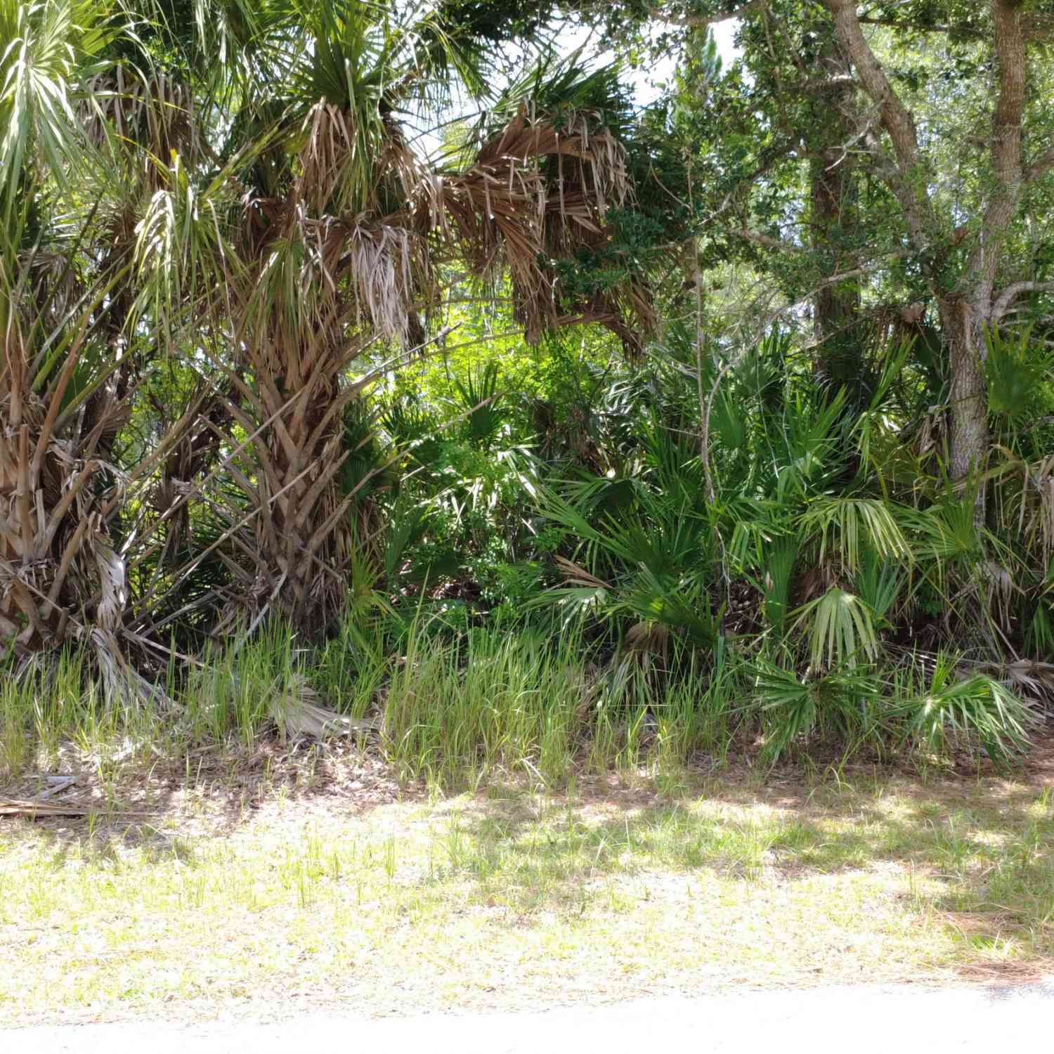 Vacant Land For Sale - 2926 Oakwood Avenue<br/> Brevard County, Palm Bay, FL 32909