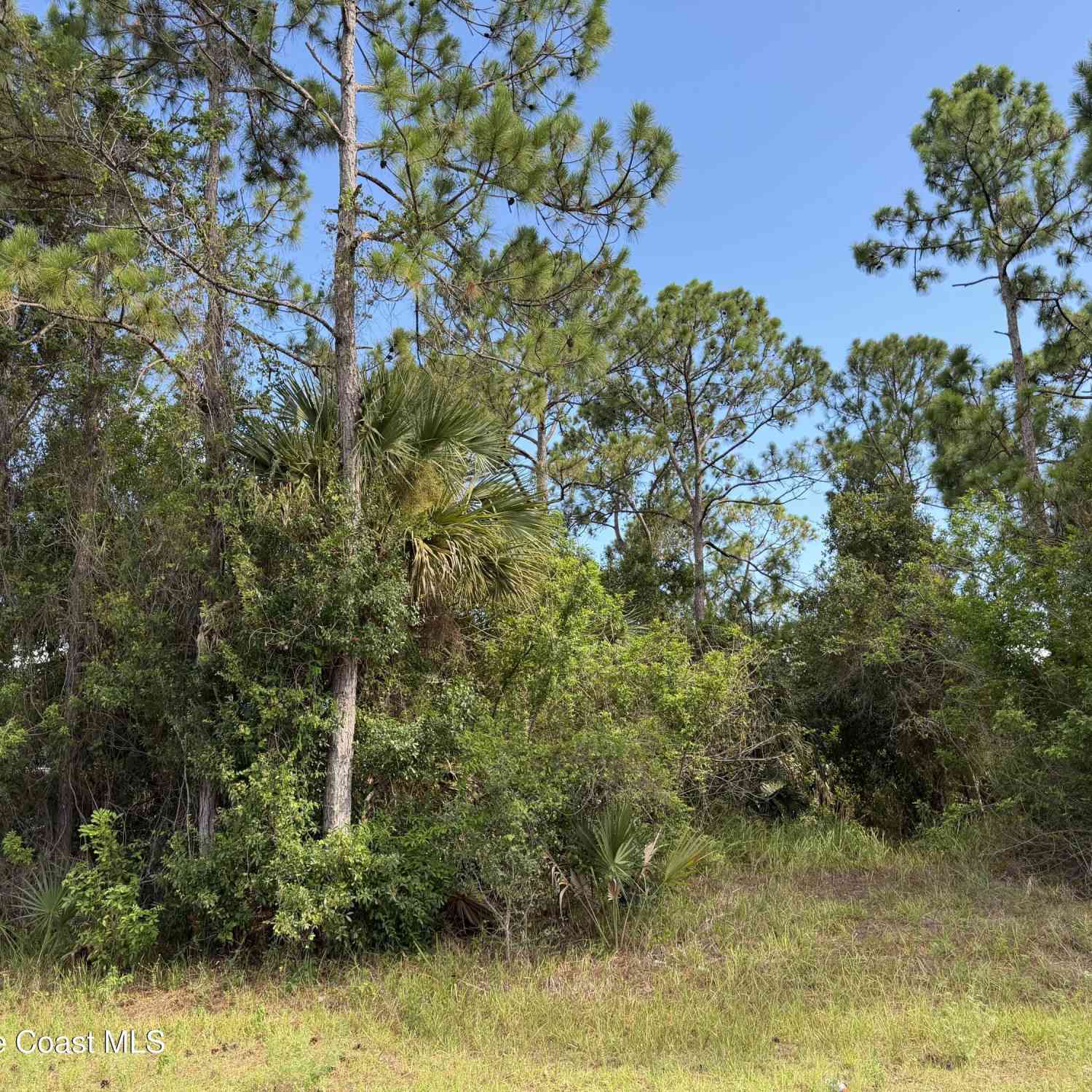 Vacant Land For Sale - 798 Altamira Street<br/> Brevard County, Palm Bay, FL 32907