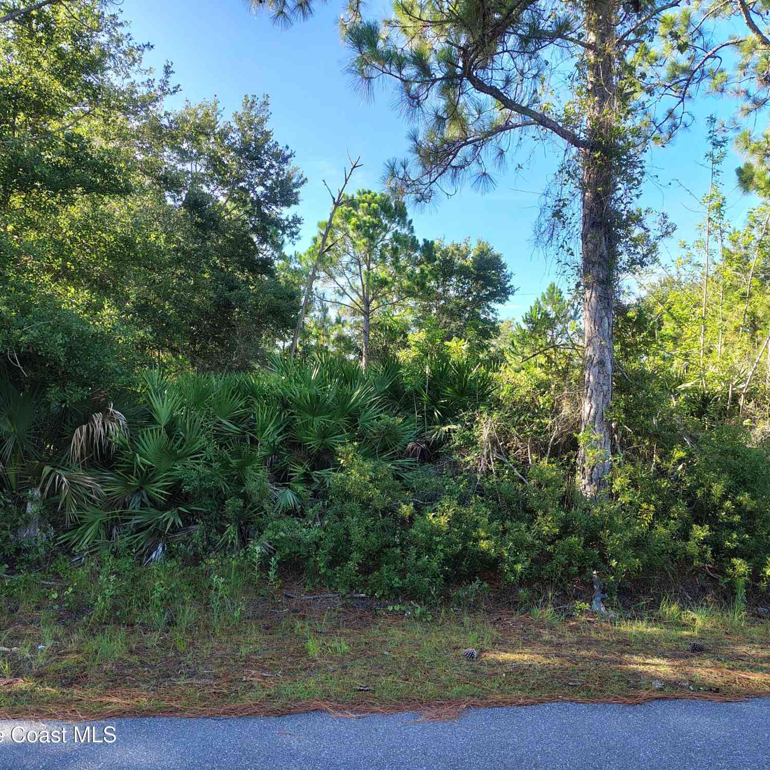 Vacant Land For Sale - 812/818 Wheatley Street<br/> Brevard County, Palm Bay, FL 32909