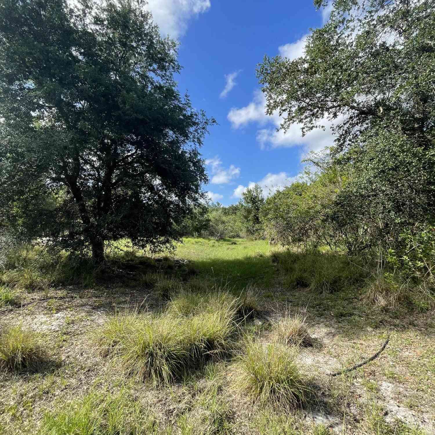 Vacant Land For Sale - 000 Willowbrook Drive<br/> Palm Bay, FL 32909