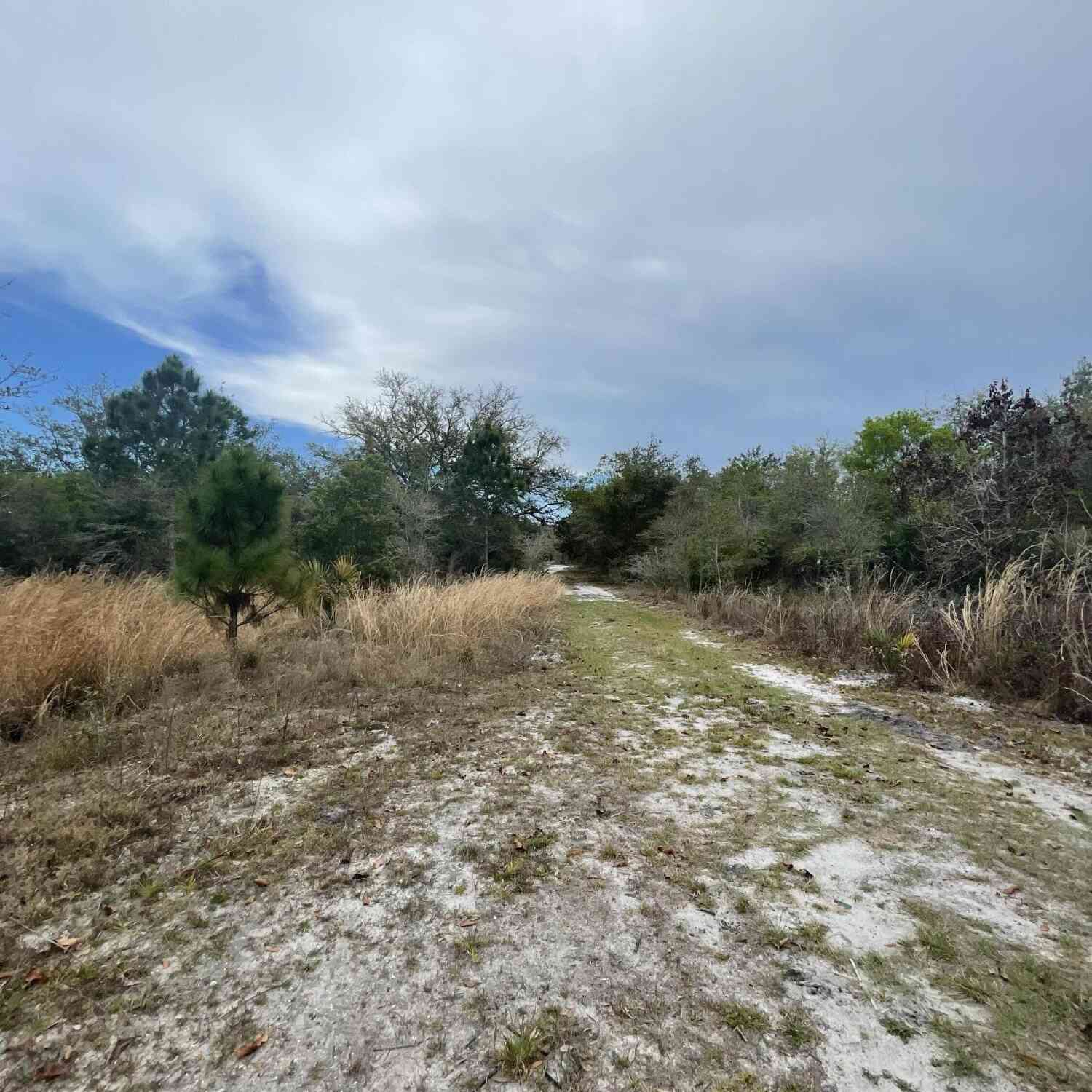 Vacant Land For Sale - 0000 Willowbrook Drive<br/> Brevard County, Palm Bay, FL 32909