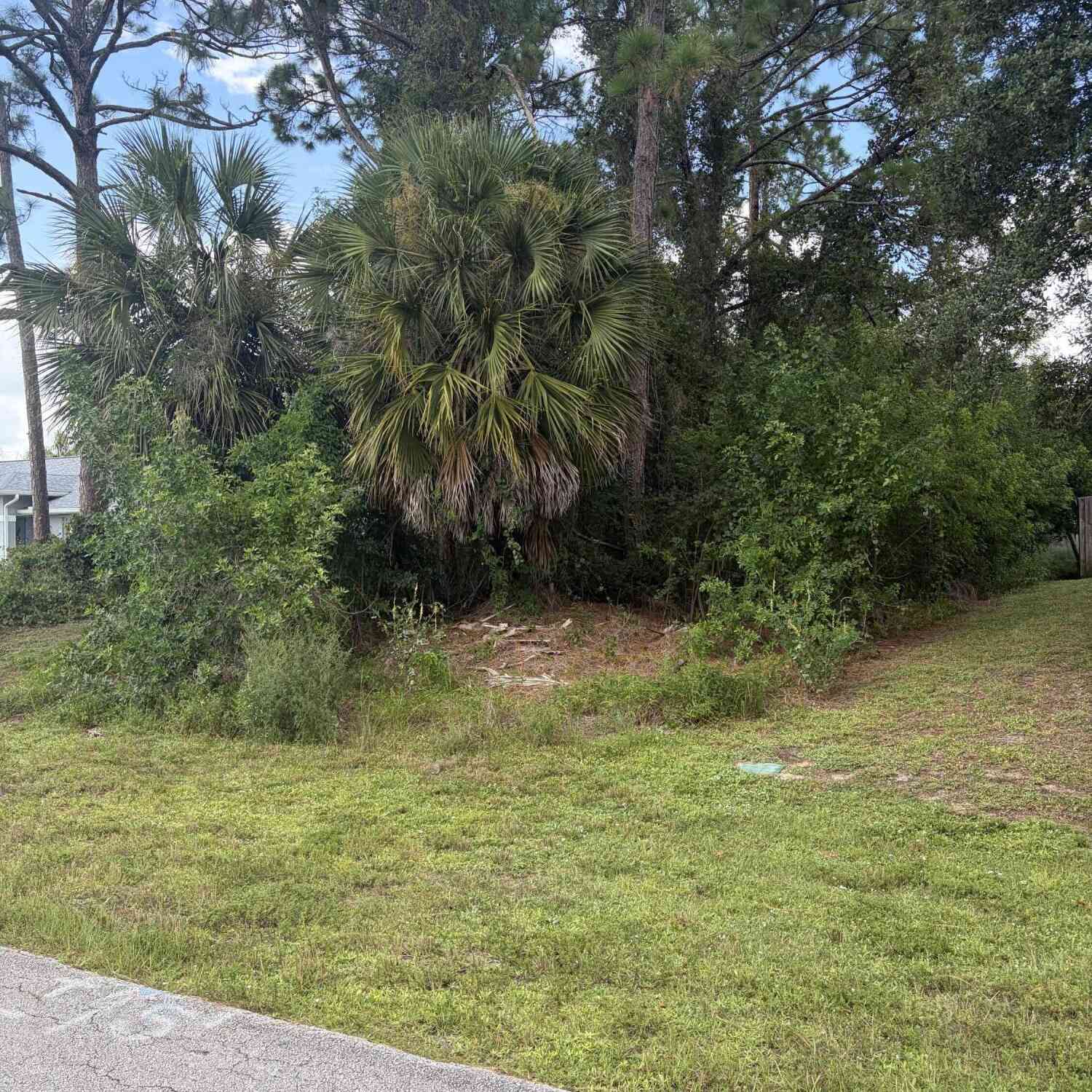 Vacant Land For Sale - 137 Coffee Street<br/> Palm Bay, FL 32909