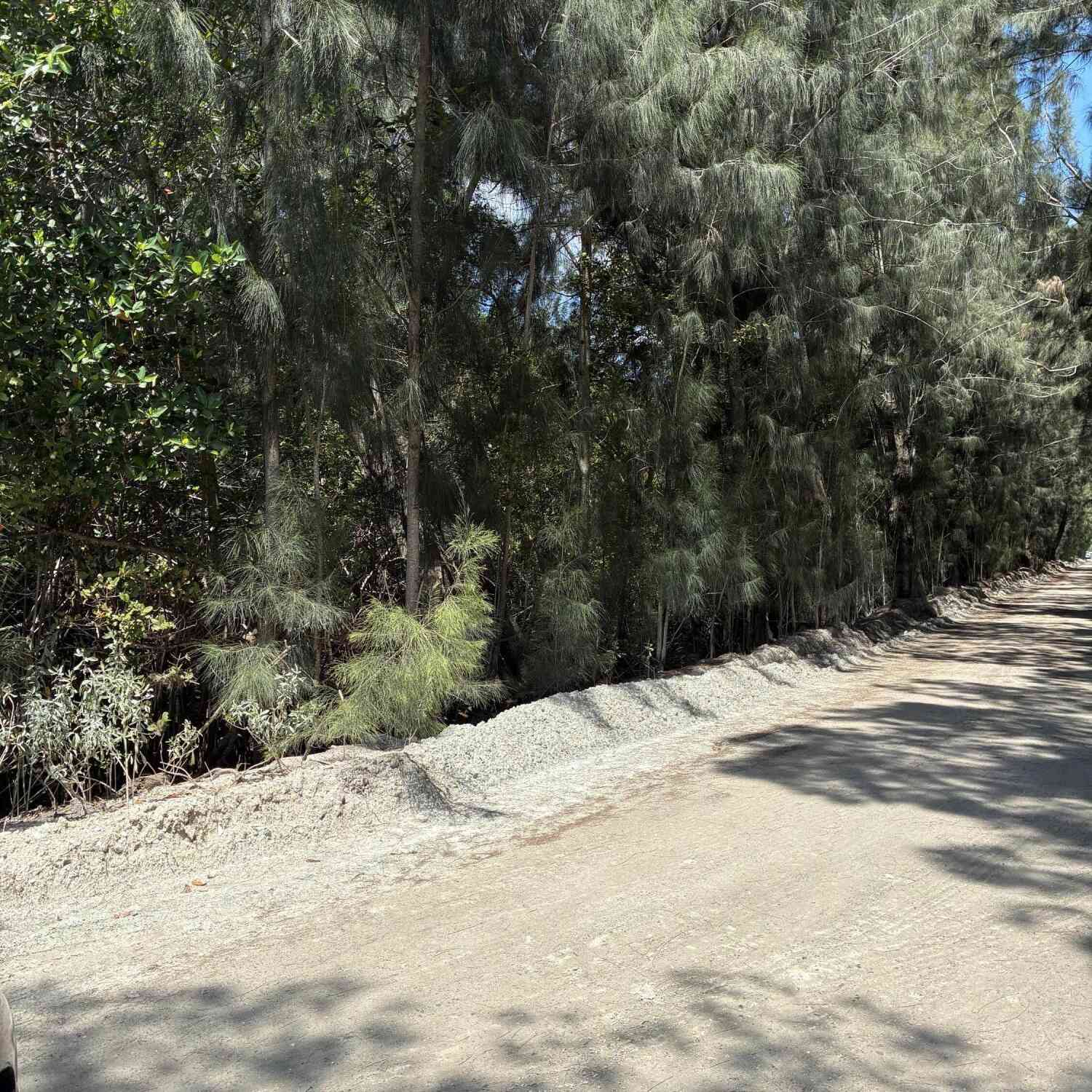 Vacant Land For Sale - 4790 W 87th Street<br/> Indian River County, Sebastian, FL 32958
