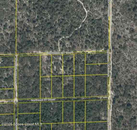 Vacant Land For Sale - 0000 NE 82nd Place<br/> Bronson, FL 32621