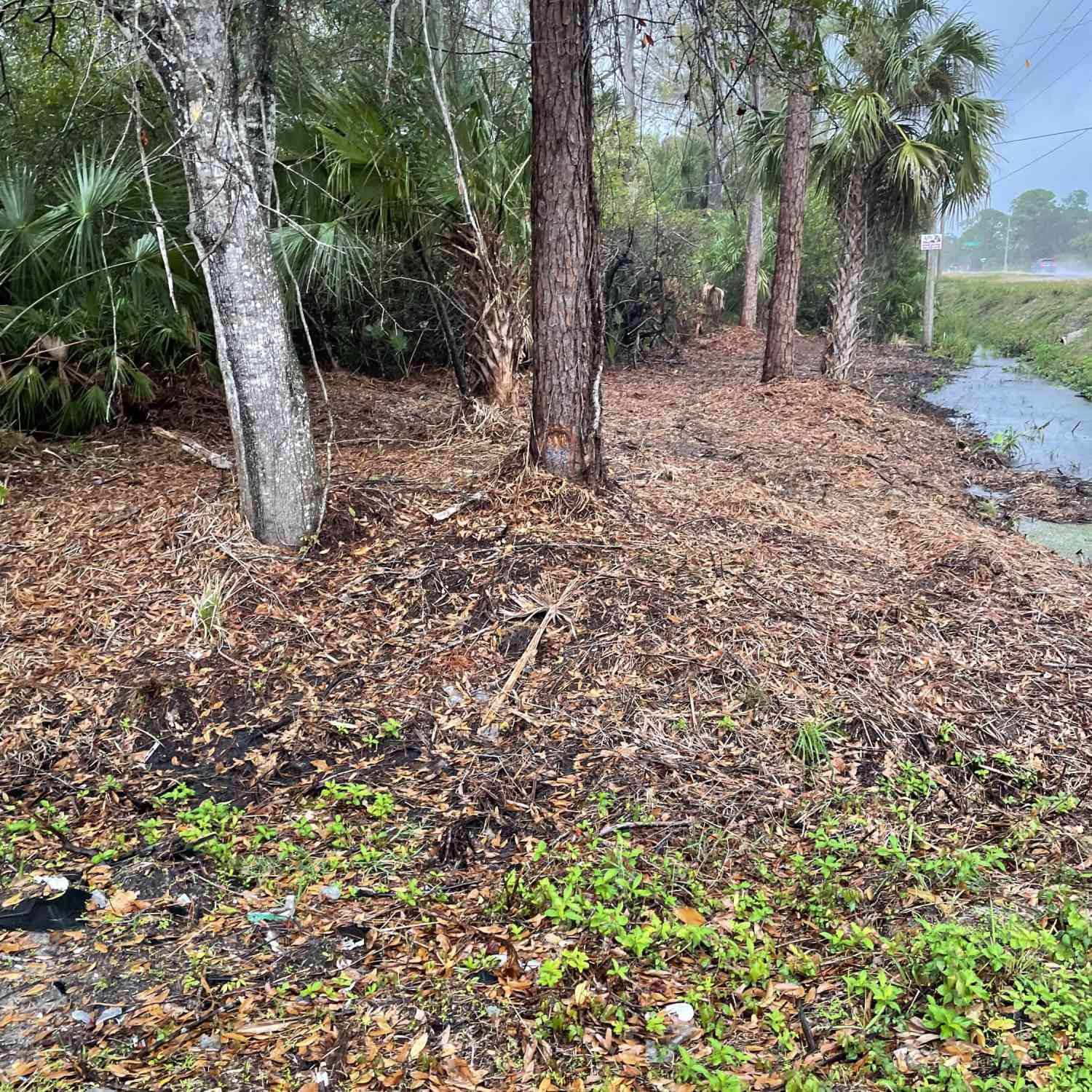 Vacant Land For Sale - 1691&1699 Sandusky Street<br/> Palm Bay, FL 32909