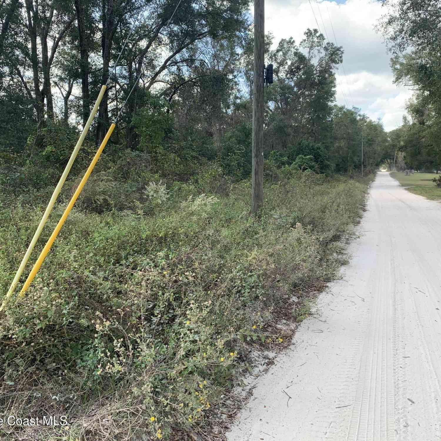 Vacant Land For Sale - Co Rd 337<br/> Gilchrist County, Bell, FL 32619