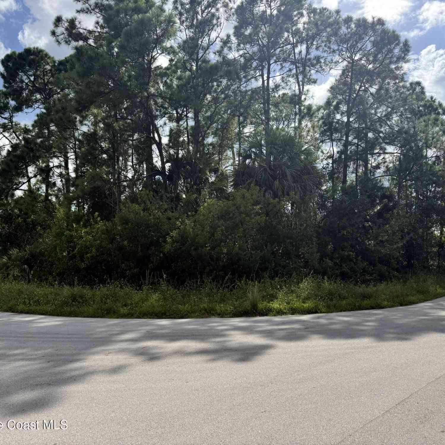 Vacant Land For Sale - 00 Sanford St / Trilby Rd Street<br/> Palm Bay, FL 32908