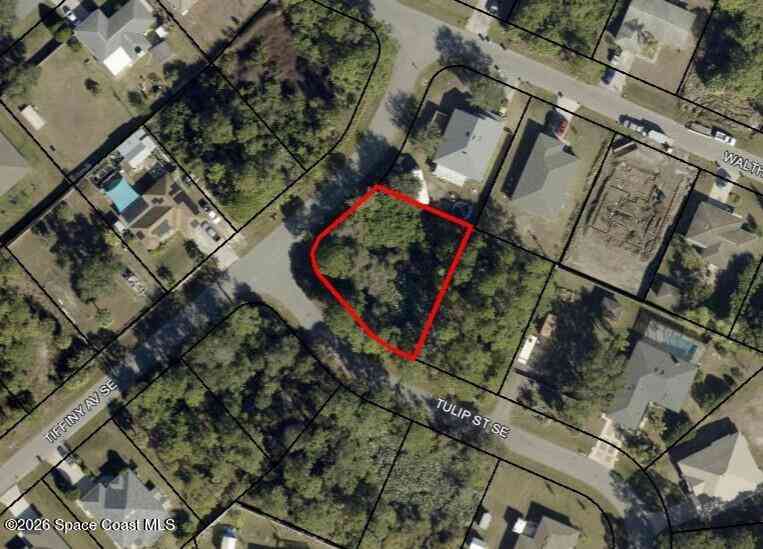 Vacant Land For Sale - 1201 Tulip Street<br/> Palm Bay, FL 32909