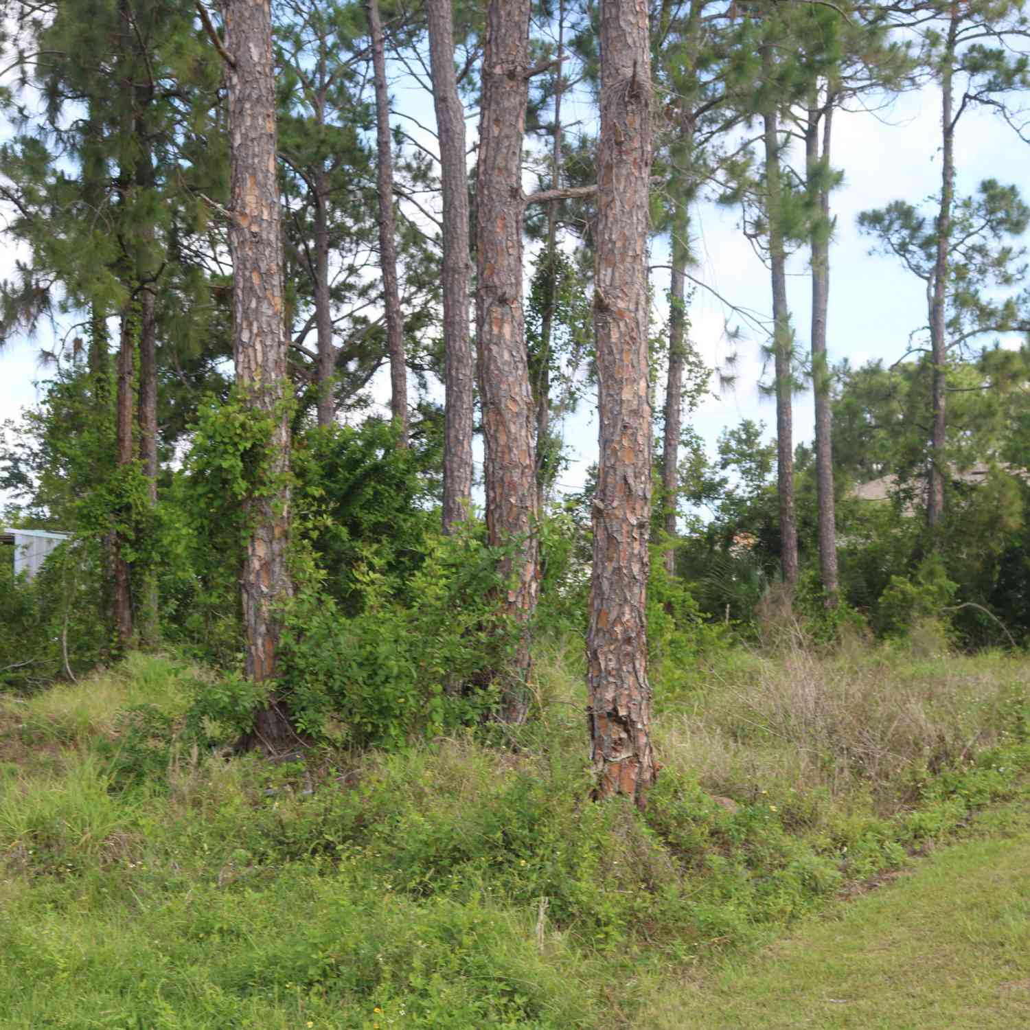 Vacant Land For Sale - 1531 Walker Street<br/> Palm Bay, FL 32909