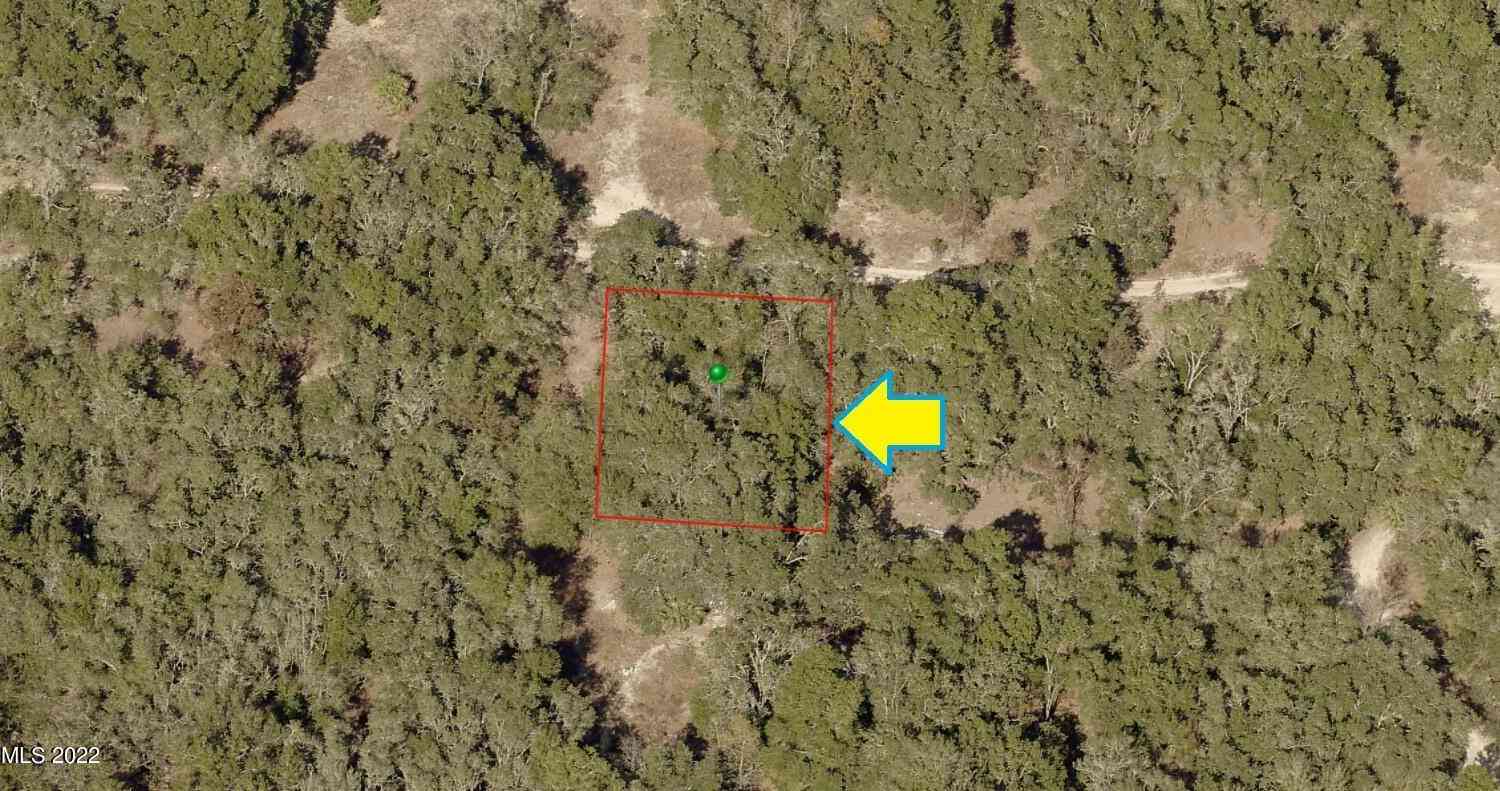 Vacant Land For Sale - 3009 Taylor Street<br/> Inverness, FL 