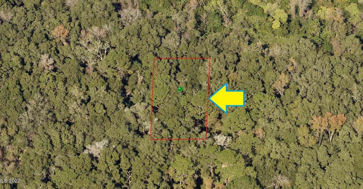 Vacant Land For Sale - 2108 Mistletoe Street<br/> Inverness, FL 