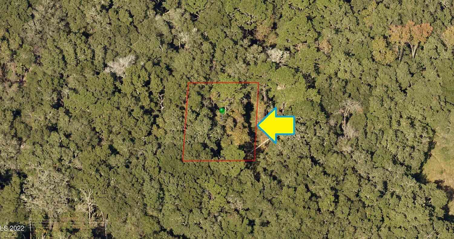Vacant Land For Sale - 2107 Mistletoe Street<br/> Inverness, FL 