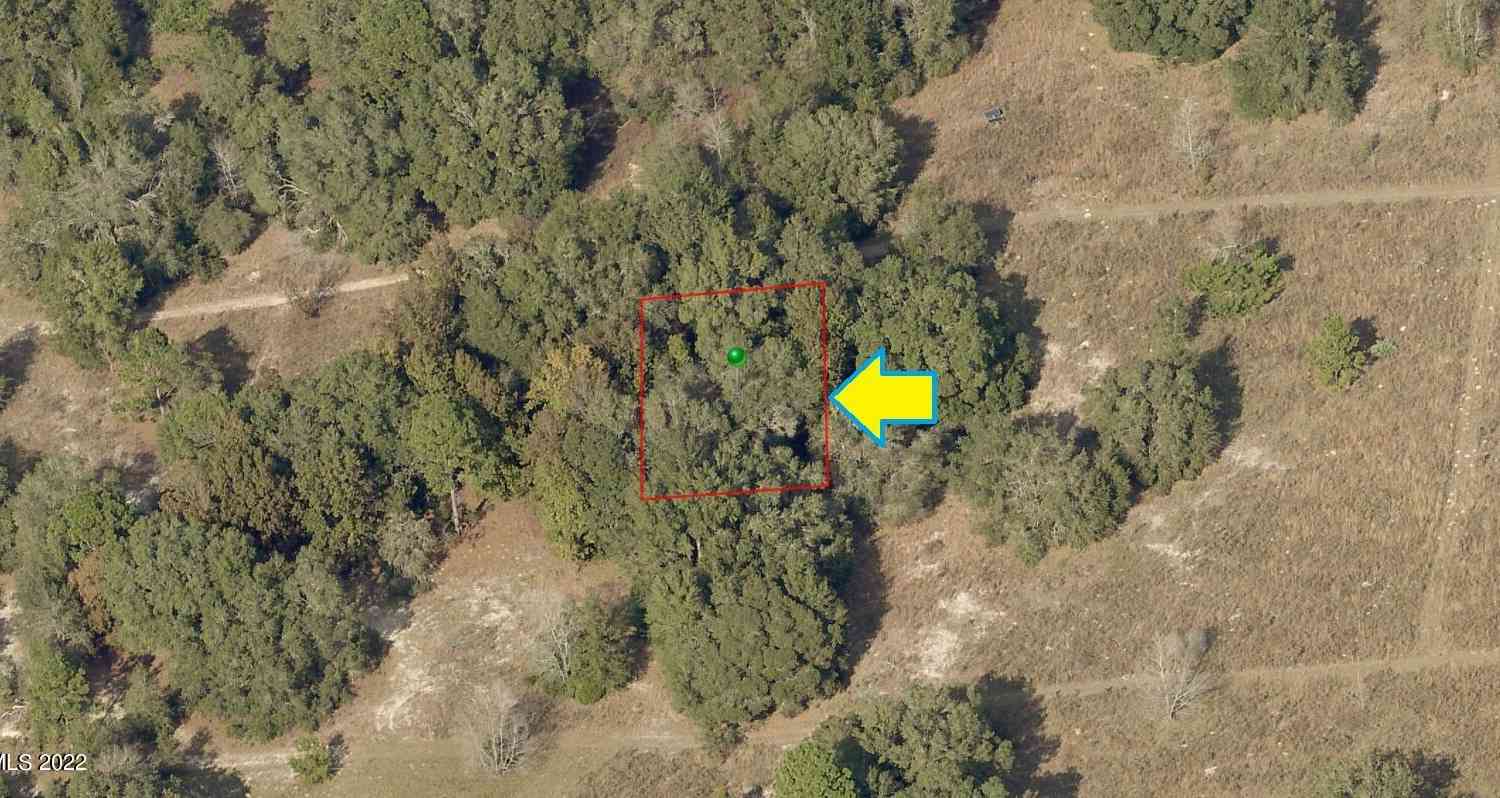 Vacant Land For Sale - 2405 Van Buren Street<br/> Inverness, FL 