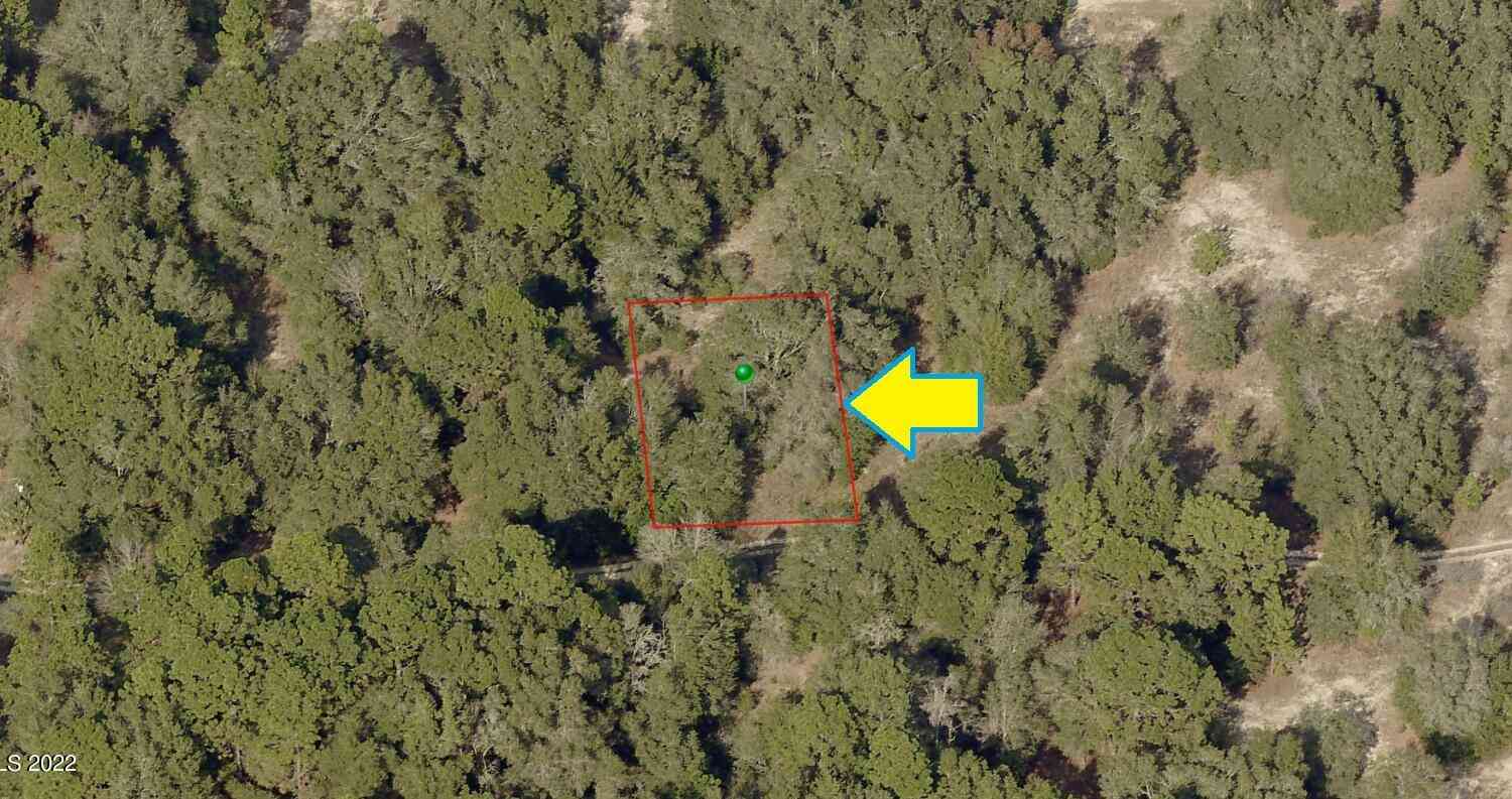 Vacant Land For Sale - 2510 Reagan Street<br/> Inverness, FL 