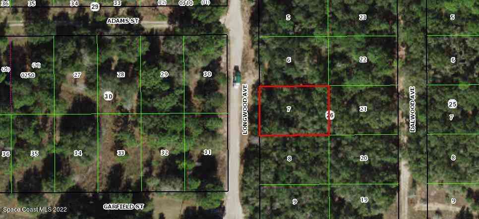 Vacant Land For Sale - 706 Longwood Avenue<br/> Inverness, FL 