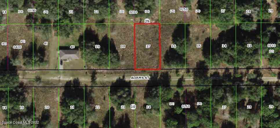 Vacant Land For Sale - 2216 Adams Street<br/> Inverness, FL 