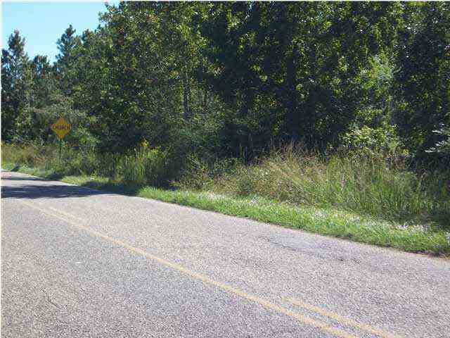 Vacant Land For Sale - #43 Woods Rd<br/> Atmore, AL 36502