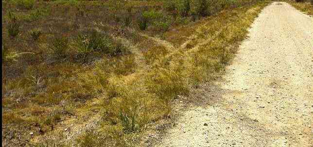 Vacant Land For Sale - County Rd 177<br/> Midland County, Midland, TX 79706