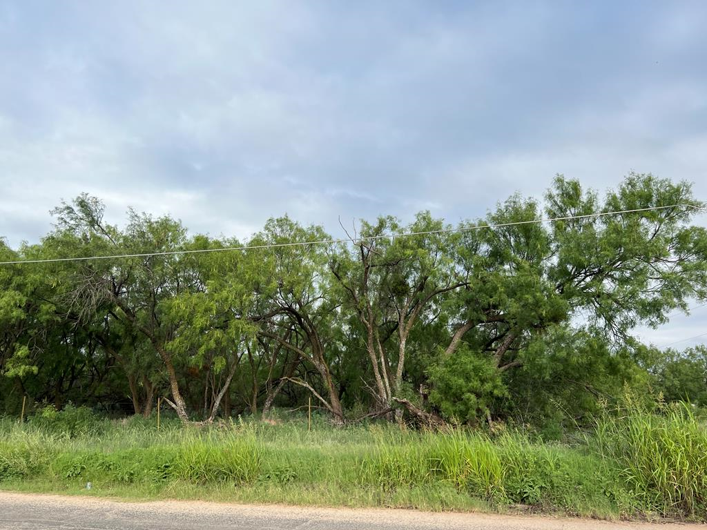 Vacant Land For Sale - 0000 N Ave T<br/> Scurry County, Snyder, TX 79549