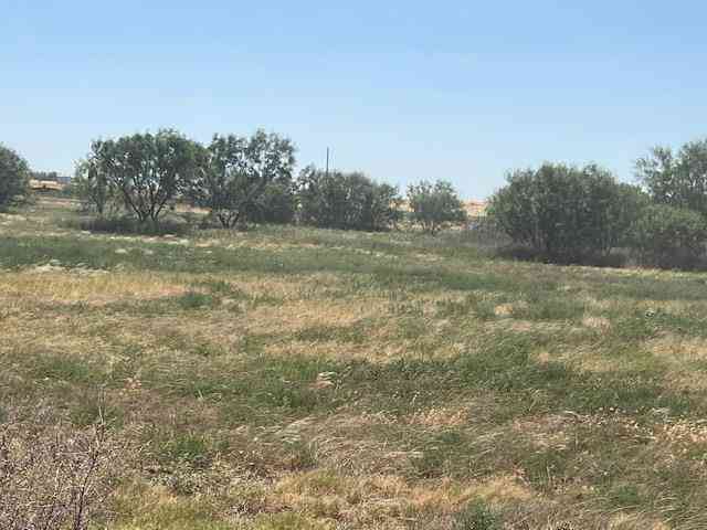 Vacant Land For Sale - 000 County Rd 252<br/> Colorado City, TX 79512