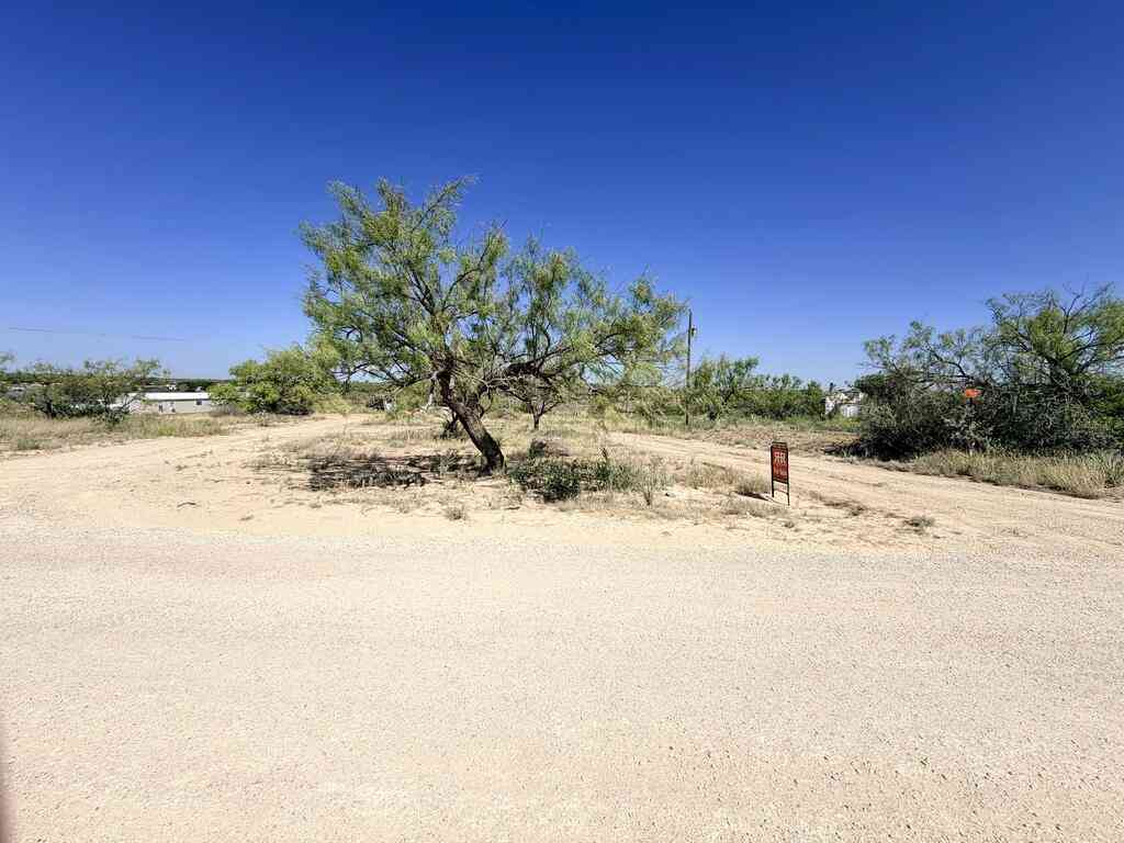 Vacant Land For Sale - County Rd 315<br/> Colorado City, TX 79512