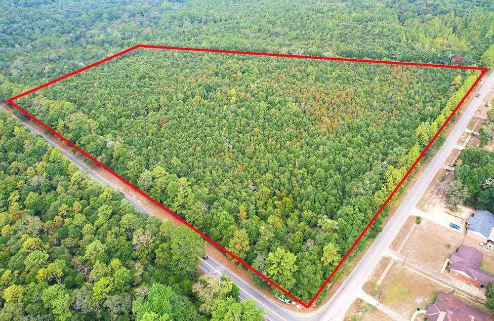 Vacant Land For Sale - Bear Fork Road<br/> Eight Mile, AL 36613
