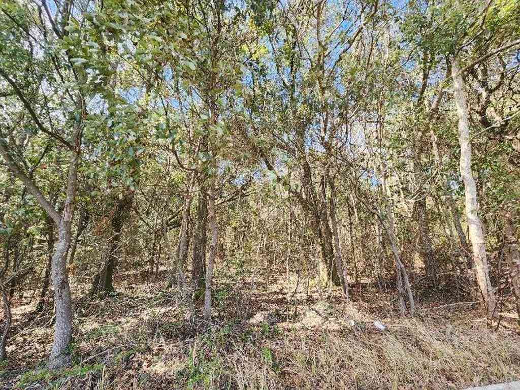 Vacant Land For Sale - Hurricane Boulevard<br/> Irvington, AL 36544