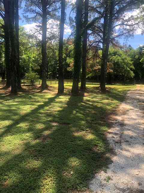 Vacant Land For Sale - 590 River Street<br/> Lowndesboro, AL 36752