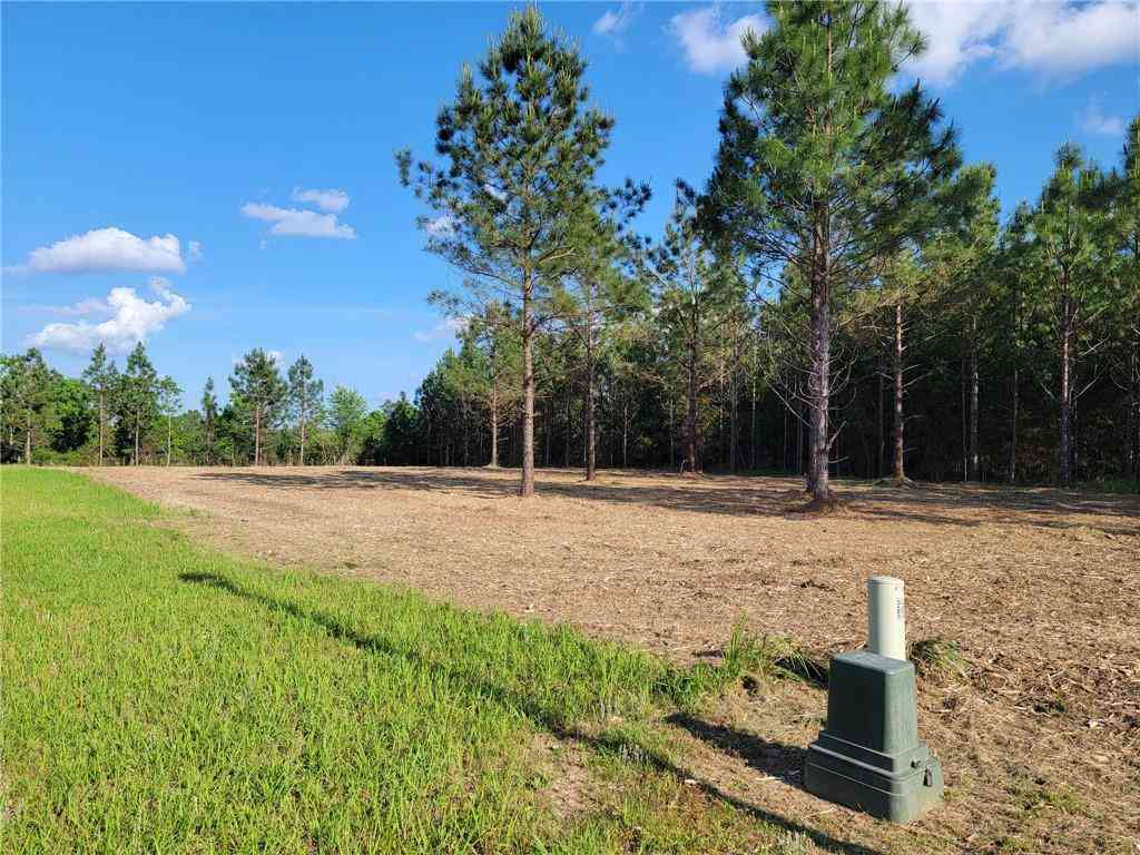 Vacant Land For Sale - 40 Hampton Ridge Court<br/> Mobile, AL 36608