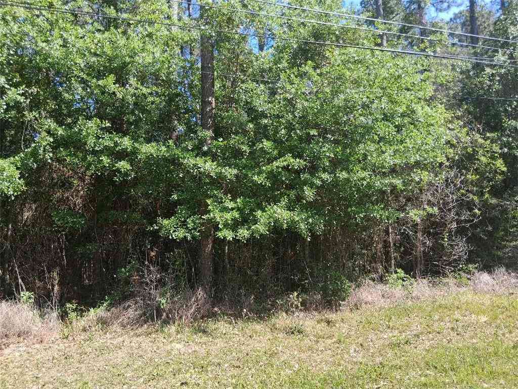 Vacant Land For Sale - 0000 Clearview Drive<br/> Theodore, AL 36582
