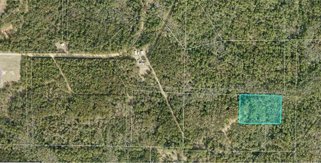Vacant Land For Sale - Pinecrest Cemetery Road<br/> Mobile County, Citronelle, AL 36522