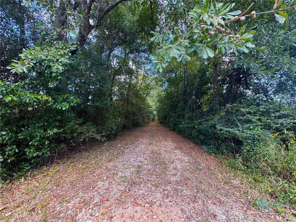 Vacant Land For Sale - 8800 W Williams Street<br/> Citronelle, AL 36522