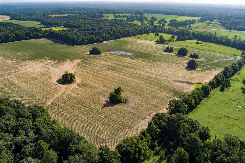 Vacant Land For Sale - Ward Road<br/> Mobile County, Wilmer, AL 36587