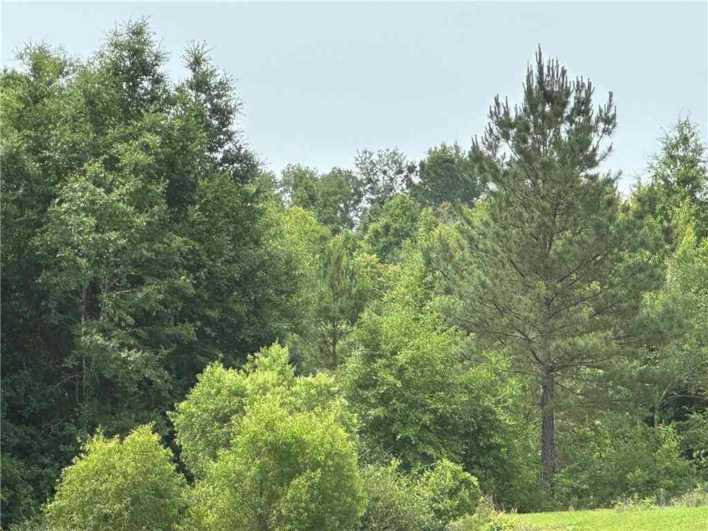 Vacant Land For Sale - County Road 54 Road<br/> Daphne, AL 36526
