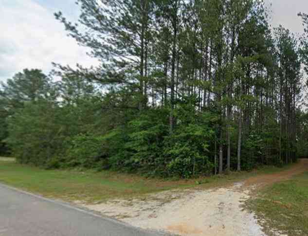 Vacant Land For Sale - Old Citronelle Highway<br/> Chunchula, AL 36521
