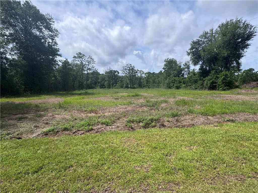 Vacant Land For Sale - 3287 Spartan Drive<br/> Mobile County, Saraland, AL 36571