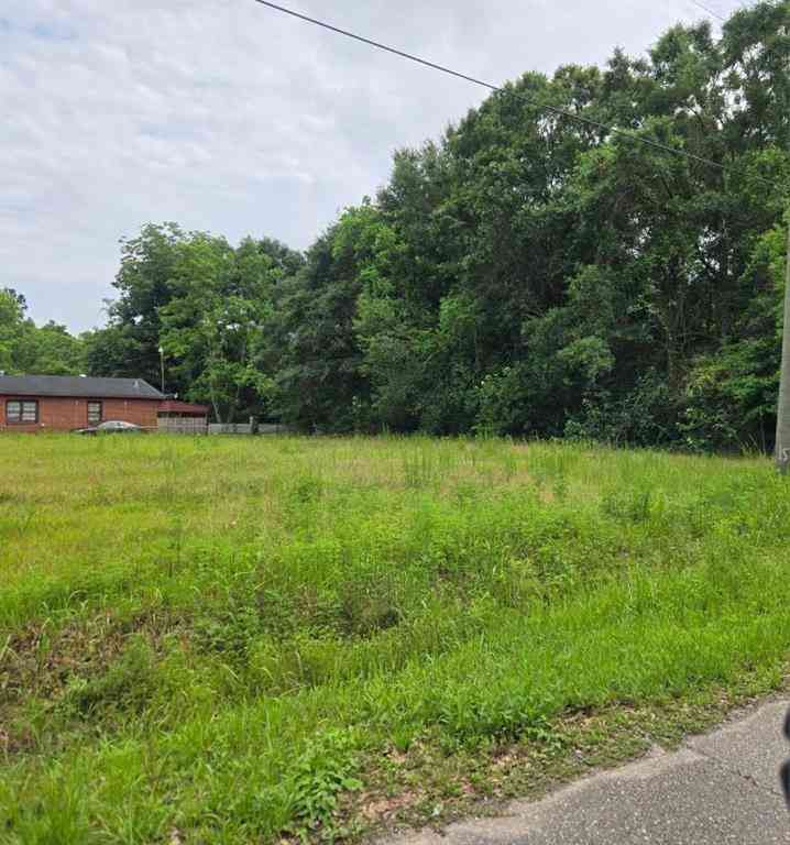 Vacant Land For Sale - Whistler Street<br/> Mobile County, Mobile, AL 36610