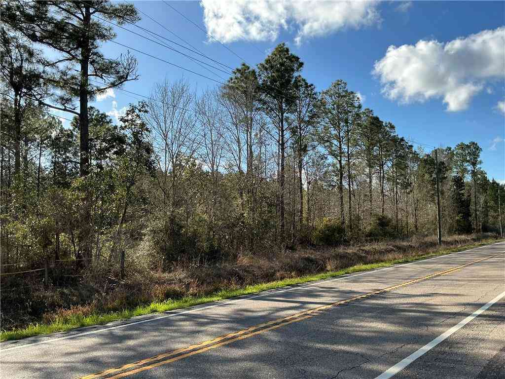 Vacant Land For Sale - Bellingrath Road<br/> Mobile County, Theodore, AL 36582