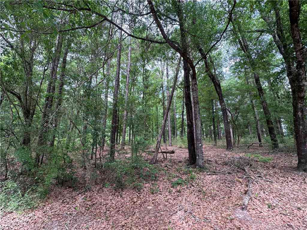 Vacant Land For Sale - 7515 Lambeth Drive<br/> Mobile County, Saraland, AL 36571