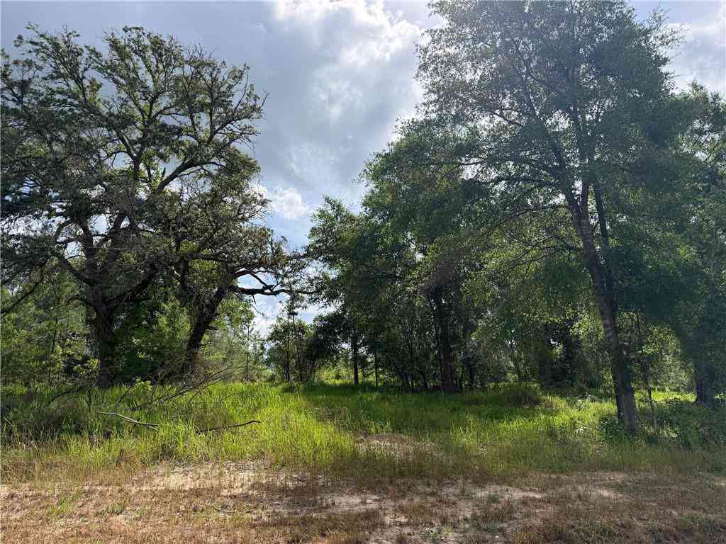 Vacant Land For Sale - Sandy Creek Lane<br/> Mobile County, Mobile, AL 36695