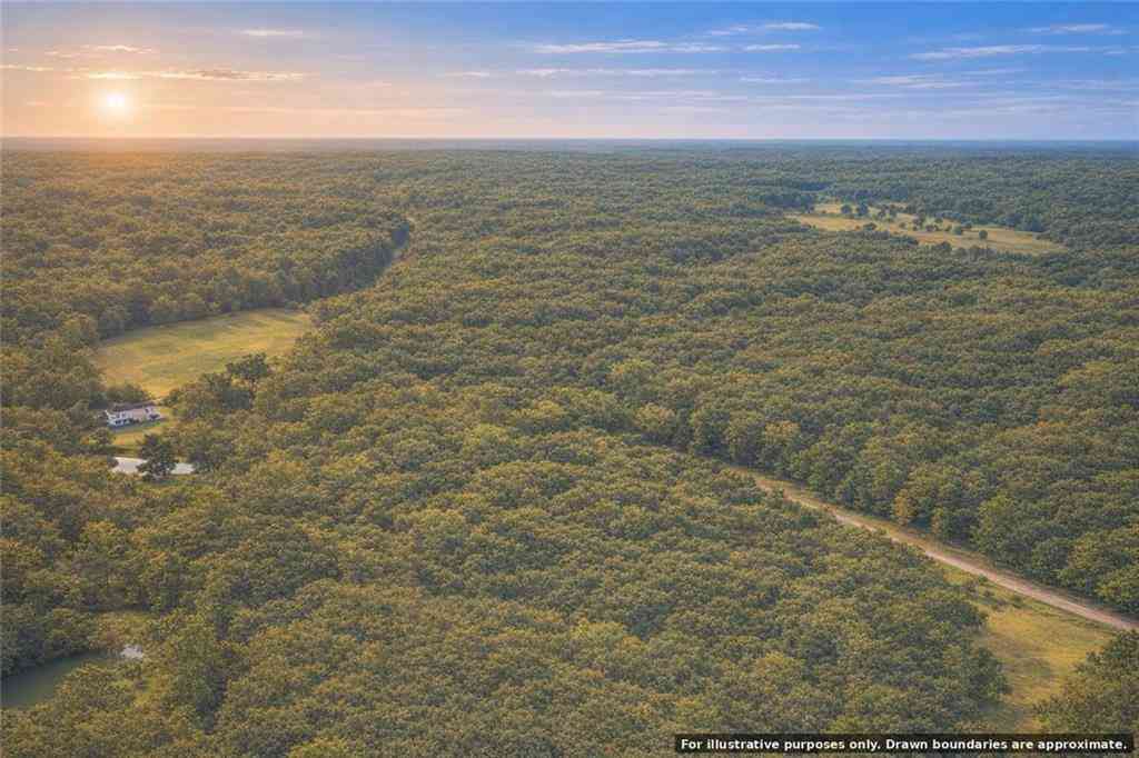 Vacant Land For Sale - County Rd 617 Road<br/> Roanoke, AL 36274