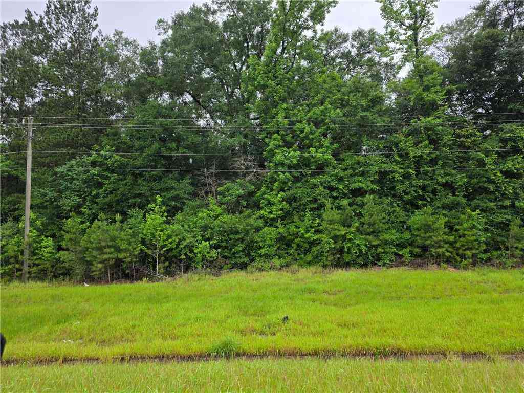 Vacant Land For Sale - 15101 Highway 43<br/> Mobile County, Mount Vernon, AL 36560