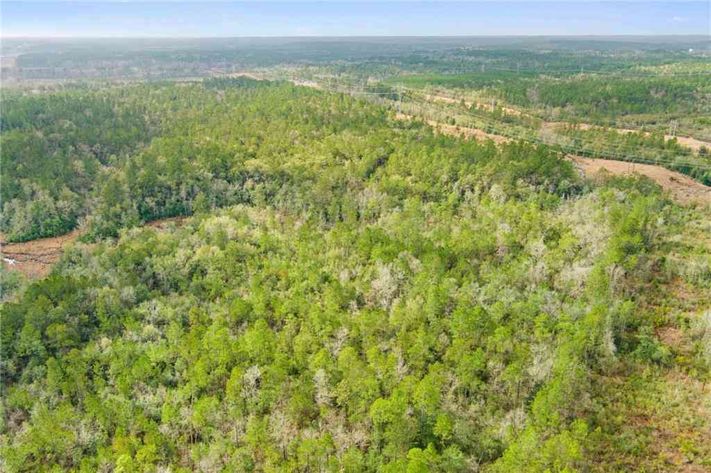 Vacant Land For Sale - Andry Road<br/> Mount Vernon, AL 36560