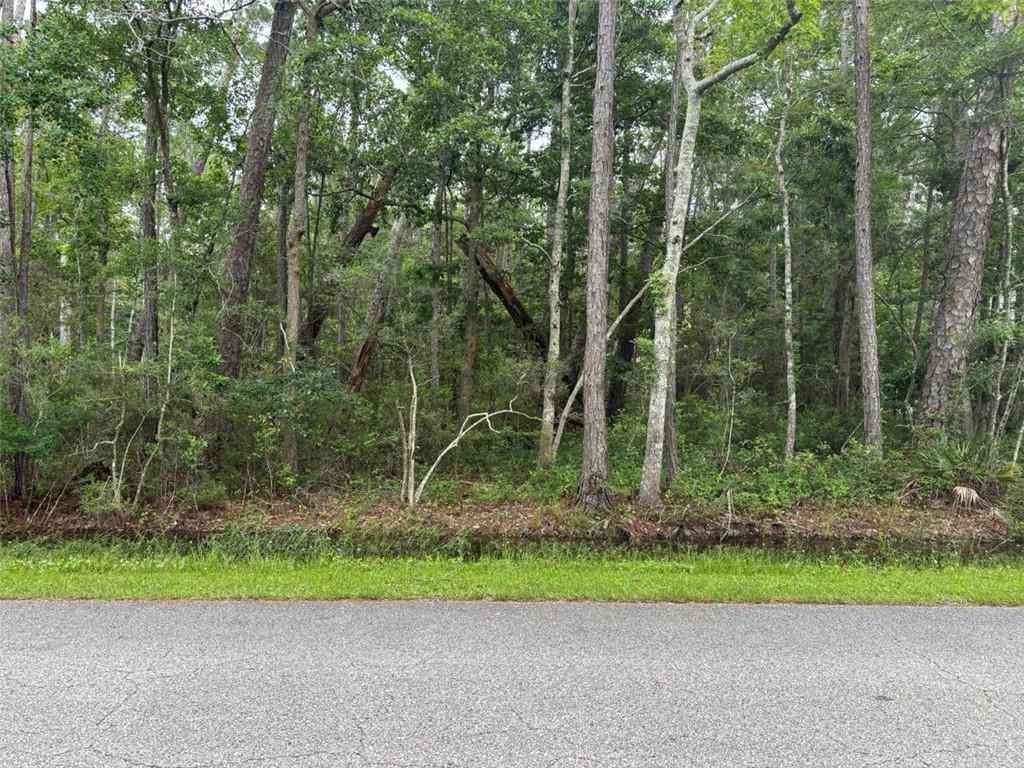 Vacant Land For Sale - 807 Alabama Avenue<br/> Dauphin Island, AL 36528