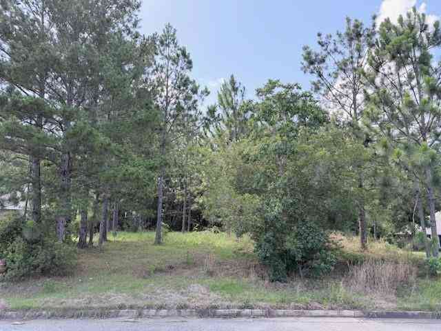 Vacant Land For Sale - 7790 Eagle Creek Drive<br/> Daphne, AL 36526