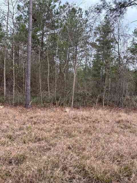 Vacant Land For Sale - Salco Road<br/> Axis, AL 36505